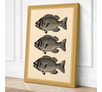 Three Specimens Vintage Canvas Wall Art Print 36x24 Inch (91 x 61 cm)