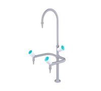 Three-Spout Laboratory Faucet with 360-Degree Swivel Pre-Rinse Shower, Resin-Coated All-Copper Core, Suitable for Laboratories, Schools and Hospitals(Color1)
