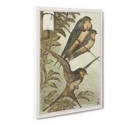 Three Swallows By Theo Van Hoytema Canvas Print | Gallery Wrapped 30mm Frame Wall Art | 20x14 inches | Ready to Hang | Classic Picture | Living Room Bedroom Lounge Office