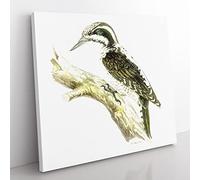 Three toed Woodpecker Bird by Von Wright Vintage Canvas Wall Art Print Ready to Hang, Framed Picture for Living Room Bedroom Home Office Décor, 50x50 cm (20x20 Inch)