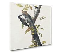 Three toed Woodpeckers Bird by John James Audubon Vintage Canvas Wall Art Print Ready to Hang, Framed Picture for Living Room Bedroom Home Office Décor, 14x14 Inch (35x35 cm)