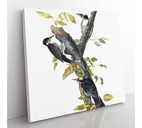 Three toed Woodpeckers Bird by John James Audubon Vintage Canvas Wall Art Print Ready to Hang, Framed Picture for Living Room Bedroom Home Office Décor, 50x50 cm (20x20 Inch)