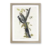 Three Toed Woodpeckers By John James Audubon Vintage Framed Print | A3 Oak Framed Wall Art | Ready to Hang | Classic Animal Picture | Living Room Bedroom Lounge Office