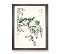 Three Warbling White Eye Birds By Numata Kashu Asian Japanese Framed Print | A2 Walnut Framed Wall Art | Ready to Hang | Asian Nature Picture | Living Room Bedroom Lounge Office