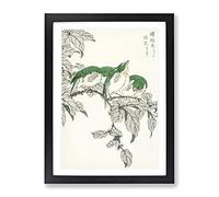 Three Warbling White Eye Birds By Numata Kashu Asian Japanese Framed Print | A4 Black Framed Wall Art | Ready to Hang | Asian Nature Picture | Living Room Bedroom Lounge Office