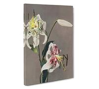 Three White Lilies by Kazumasa Ogawa Canvas Print for Living Room Bedroom Home Office Décor, Wall Art Picture Ready to Hang, 30 x 20 Inch (76 x 50 cm)