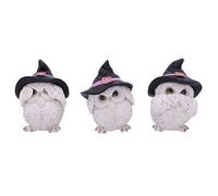 Three Wise Feathered Familiars