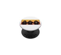 Three Wise Hipster Monkeys Hear Speak and See No Evil PopSockets Adhesive PopGrip