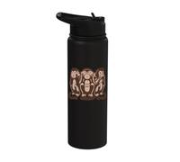 Three Wise Monkeys Speak, Hear and See Nothing Evil Stainless Steel Insulated Water Bottle