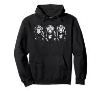 Three Wise Monkeys | Stencil Art - Speak See Hear No Evil Pullover Hoodie