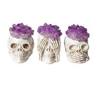Three Wise Skull with Amethyst Crystal Flower - Decor for Home, Office, and Spiritual