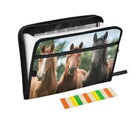 Three Young Horses Expanding File Folder, 13 Pockets Accordion Document Organizer Expandable Filing Folders Letter A4, Paperwork Organizer for Home Work Travel
