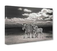 Three Zebras in the Wild Canvas Print | Gallery Wrapped 30mm Frame Wall Art | 20x14 inches | Ready to Hang | Modern Animal Picture | Living Room Bedroom Lounge Office