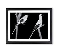 Thrilling Birds Abstract Framed Wall Art Print A2 Black | Ready to Hang, Premium Gi Paper, Fade-Resistant Inks, Securely Packaged, UK Made