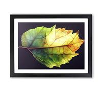 Thrilling Leaf H1022 BLK Framed Print for Living Room Bedroom Home Office Décor, Wall Art Picture Ready to Hang, Black A2 Frame (64 x 46 cm)