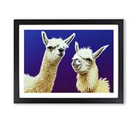 Thrilling Llamas Framed Print | A2 Black Framed Wall Art | Ready to Hang | Modern Animal Picture | Living Room Bedroom Lounge Office