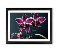 Thrilling Orchid Flowers Framed Print | A2 Black Framed Wall Art | Ready to Hang | Modern Floral Picture | Living Room Bedroom Lounge Office