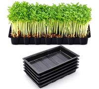 Thrink 5 x Plastic Seed Trays Without Drainage Holes for Gardening, Heavy Duty Multipurpose Propagation & Base Trays for Seedlings, Pots & Greenhouse Use, Leak Proof Reusable Plant Trays