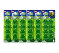 Thrink Toilet Cistern Blocks 3 Packs, 8 Blocks Per Pack Scented Tank Freshener Blocks for Continuous Freshness Hygienic Toilet Care Suitable for Most Cisterns (6 Pack, Pine)