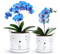 Thriving Thicket 2 Pack, 5 + 6 Inch White Orchid Pots with Holes and Saucer, Ceramic Orchid Planters for Repotting with Drainage Holes and Tray, Plant Flower Pot containers for Orchid Indoor Outdoor