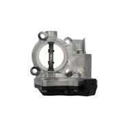 THROTTLE BODY 700431