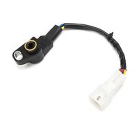 Throttle Position Sensor TPS Throttle Position Sensor For Polaris Sportsman 850 700 800 XP Ranger 4X4 6X6 2410342 1204715 RF2033SR139JU