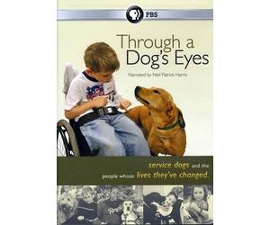 Through a Dog's Eyes [DVD] [Region 1] [US Import] [NTSC]