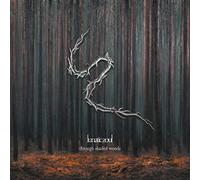 Lunatic Soul - Through Shaded Woods