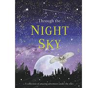 Through the Night Sky by DK