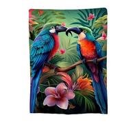 Throw Blanket 100x150cm Soft Cozy Flannel Blanket, Lightweight Fuzzy Warm Washable Blankets and Throws for Sofas Bed Chair Couch Car Autumn Decor Gift, All Seasons for Home Office Classical 14-668