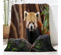 Throw Blanket 150 x 200 cm, Soft Lightweight Flannel Animals Cute Red Pandas Blankets, Gifts For Kids & Aniaml Lovers, for Couch Travel Picnics, Beach Lounging Home Living Room Decor, Brown