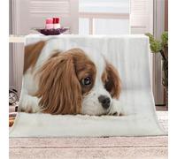 Throw Blanket 3D Dog Fleece Flannel Blanket Soft Super Warm Adorable Cavalier King Charles Spaniel Cozy Winter Bed Sofa Blankets Fluffy Microfibre For Girls Boy Kids Single Blanket Throw 100x130cm