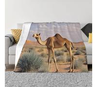 Throw Blanket 50"x40" Bed Blanket Camels Rest Desert Flannel Blankets for Sofa Reversible Plush Blanket Soft Cozy Throw Blankets for Couch Camping All Seasons