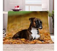Throw Blanket Boxer Dog Pet Animal Dog Blanket Single Double Bed Microfiber Flannel Blanket Winter Summer Throw Blanket 3D Sofa Bed Personalised Blanket 60x79 inches