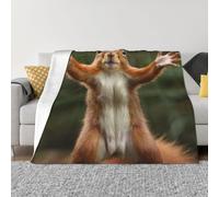 Throw Blanket for Couch Super Soft Cozy Bed Blanket Ultra-Soft Micro Squirrel Funny Animal Blankets for All Season Warm Lightweight Fleece Throw Blankets for Sofa Bedroom Living Room 40"x30"