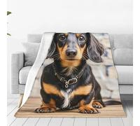 Throw Blanket for Couch Thick Soft Fleece Blankets Warm Cozy Air Conditioning Quilt All Seasons Long haired Dachshund Blanket Lightweight Flannel Fuzzy Blankets for Bed Couch Living Room Sofa 80"x60"