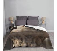 Throw Blanket for Couch Thick Soft Fleece Blankets Warm Cozy Air Conditioning Quilt All Seasons The Swallow Stands on the Pillar Blanket Lightweight Flannel Fuzzy Blankets for Bed Couch Sofa 60"x50"