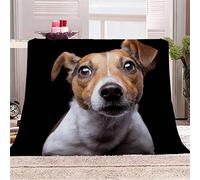 Throw Blanket Jack Russell Spaniel Funny Animals Blanket Single Double Bed Microfiber Flannel Blanket Winter Summer Throw Blanket 3D Sofa Bed Personalised Blanket 60x79 inches