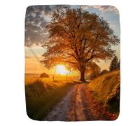 Throw Blanket Path Under The Setting Sun Aesthetic Realistic Blankets Decorations Fleece Blanket Comfort Bedspread For Outdoor Bedroom Chair S