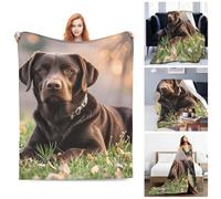 Throw Blanket Plush Ultra-Soft Micro Throw Soft Lightweight Fleece Blanket Brown Labrador Retriever Throws Blanket Warm Bed Blankets Cozy Sofa Decorative Throws for Couch All Seasons 50"x40"