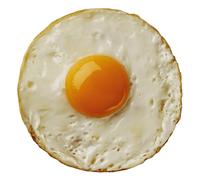 Throw Blanket, Round Pizza Blanket, Funny Tortilla Wrap Throw, Soft Velvet Comfort & Realistic Print, Lightweight Food-Inspired Blankett for Picnic, Bed, Sofa, or Travel Use