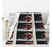 Throw Blanket Super Soft Flannel Throw Blanket Lightweight Plush Fuzzy Bed Blanket Ruby Cavalier King Charles Spaniel Puppy Dog,as shown,60inx50in