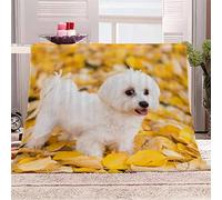 Throw Blanket White Maltese Dog Lapdog Blanket Single Double Bed Microfiber Flannel Blanket Winter Summer Throw Blanket 3D Sofa Bed Personalised Blanket 60x79 inches