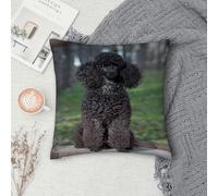 Throw Pillow Case Home Decorative,Attentive Black Poodle Sitting On Stump Summer Animals Wildlife Nature Bitch Breed Canine,Living Room Bedroom Sofa Cushion Covers Decorative Square Throw Pillow Cover