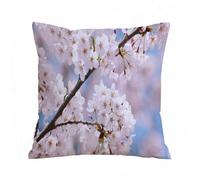 Throw Pillow Case Pillowcase Square Printed Cushion Cover for Living Room Sofa Couch Bed Car,Spring, branches of flowers cherry blossoms flower buds blooming nature landscape, black,18x18 in