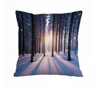 Throw Pillow Case Pillowcase Square Printed Cushion Cover for Living Room Sofa Couch Bed Car,Sunset in the wood between the trees strains in winter period,18x18 in
