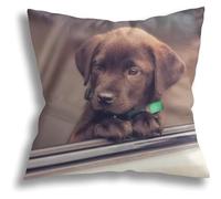 Throw Pillow Covers 45x45cm, Chocolate Labrador Puppy Cushion Case With Invisible Zipper Chair Pillowcases Home Decor Decorative Pillowcases, For Outdoor, Bed