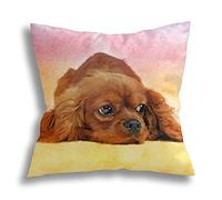 Throw Pillow Covers Cavalier King Charles Spaniel Cushion Case Soft Chair Pillowcases Fashion Square Throw Pillow Case, For Home, Living Room, 45X45Cm