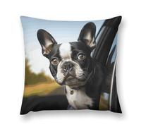 Throw Pillow Covers Puppy Dog Boston Terrier Double-Sided Farmhouse Cushion Covers Decorative Throw Pillowcase with Hidden Zipper Lumbar Pillow Cover for Sofa Bed Living Room Outdoor Decor 12 "x12 "