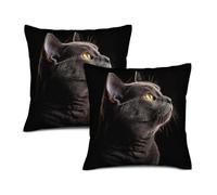 Throw Pillow Covers Russian Blue Cat Home Graphic With Invisible Zipper Pillowcase Decorative Cushion Cover Case For Outdoor Spring Tent 2 Pack
